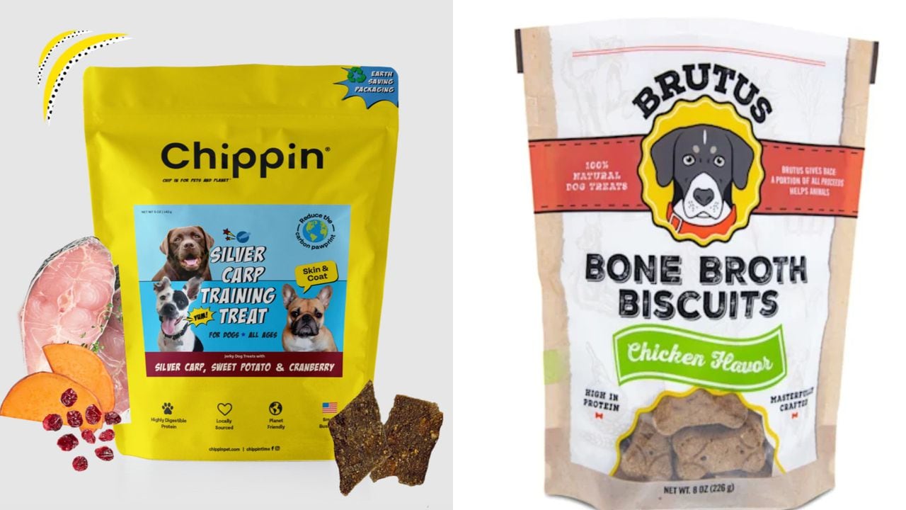 National Pet Owners Day: Here are some healthy treats your dog will love